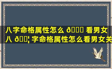 八字命格属性怎么 💐 看男女（八 🐦 字命格属性怎么看男女关系）